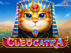 Hyper casino login. Kedi boyaması.32